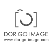 多力哥╱Dorigo Image